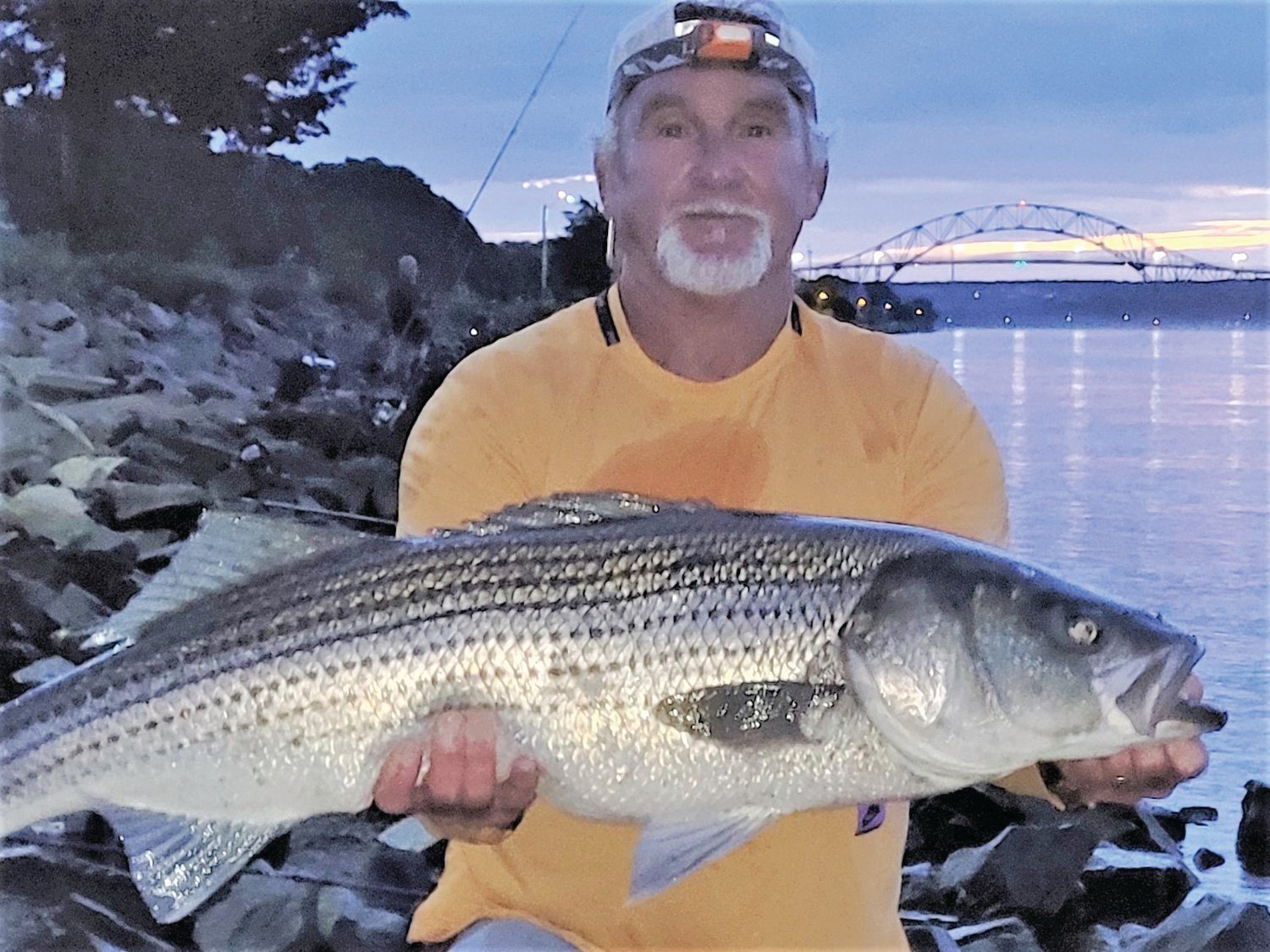 CANAL STRIPER : Kenny Nevens of Bourne caught this 41 inch striped bass on a green Fish Lab Mac Attack at first light on a Cape Cod Canal west rising tide. 